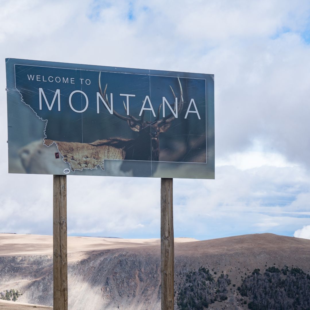 4 Mistakes To Avoid When Applying for a REAL ID in Montana MVD Express