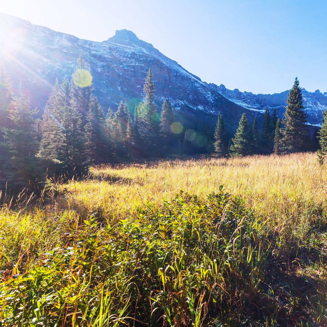 Montana mountain range